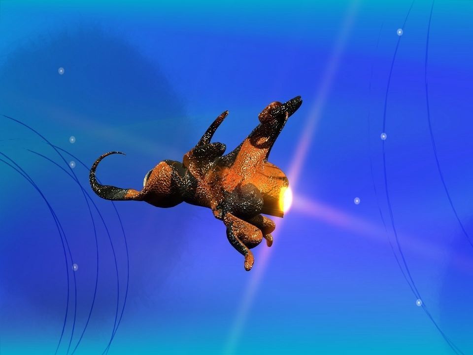 Funny Freak Spaceship Low-poly 3D model_5