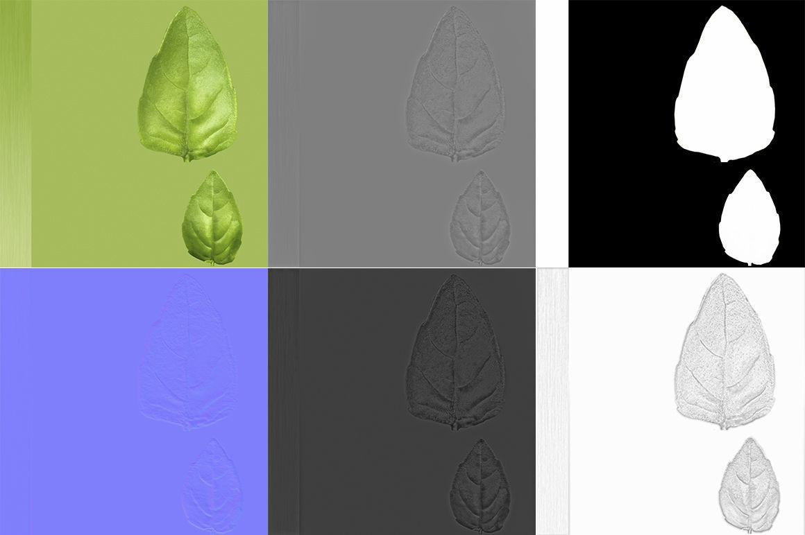 Herbs Set beet leaf 3D model_27