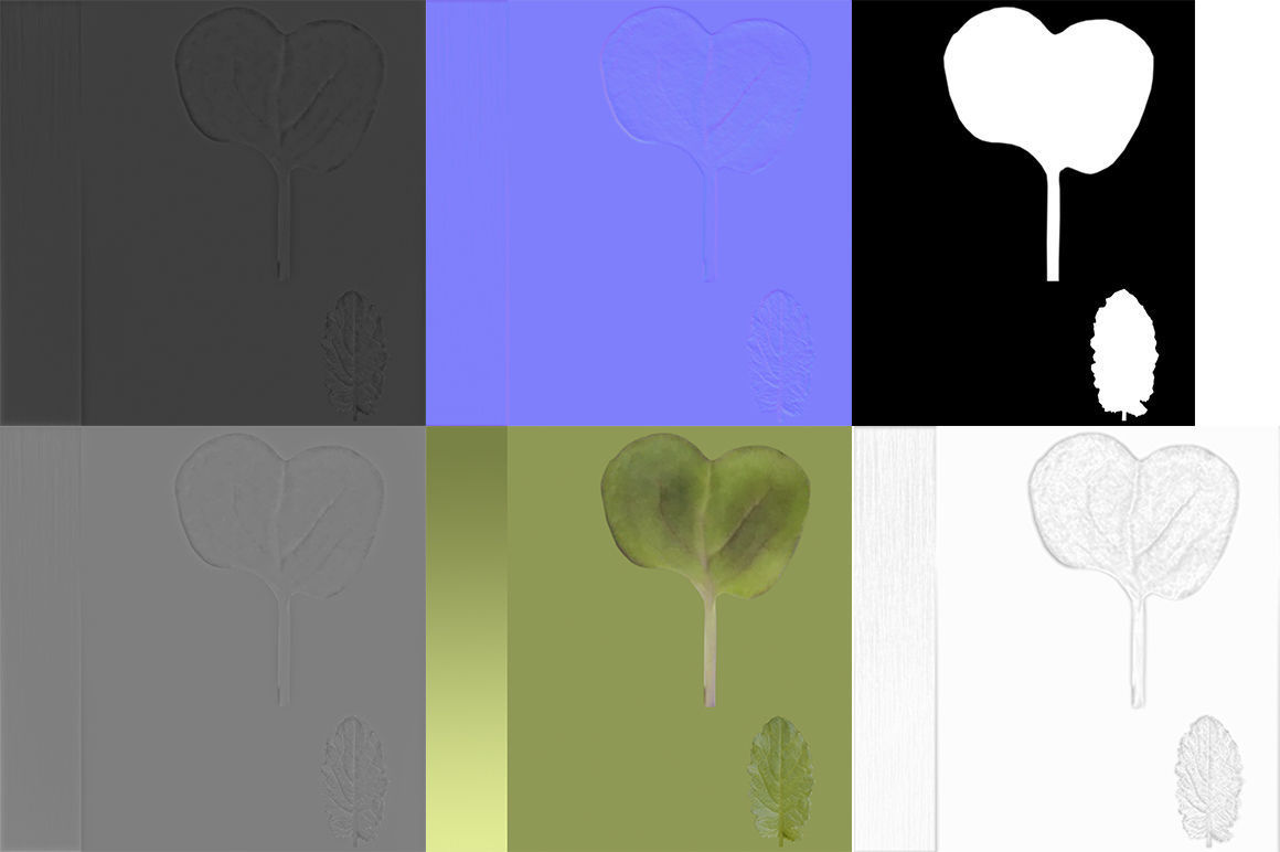 Herbs Set beet leaf 3D model_28