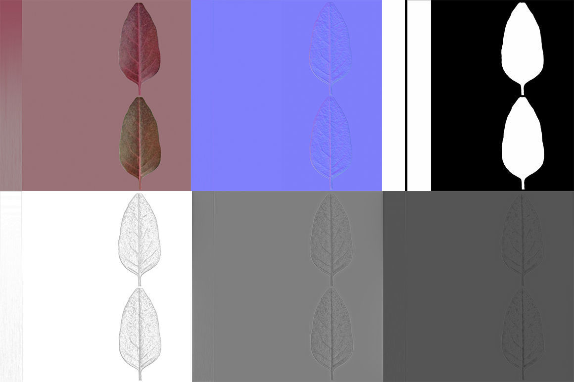 Herbs Set beet leaf 3D model_22