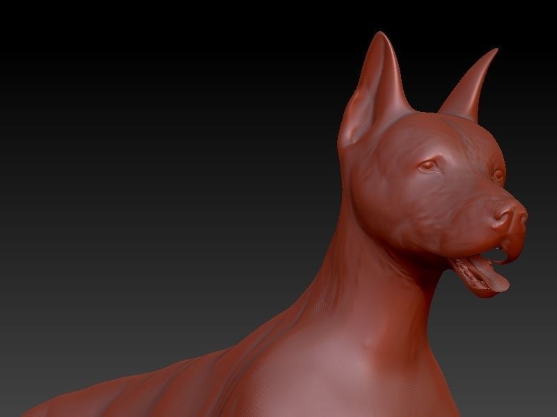 doberman dog 3D print model_7