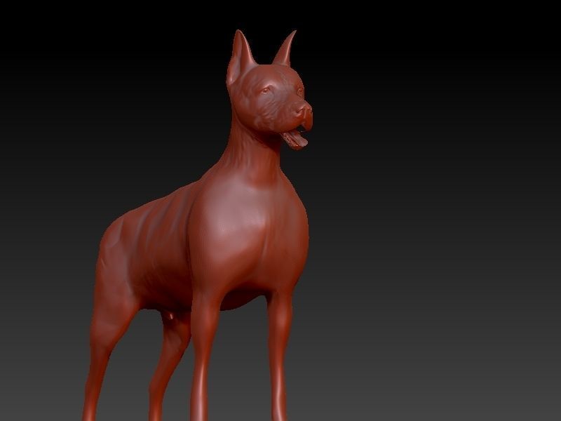 doberman dog 3D print model_5