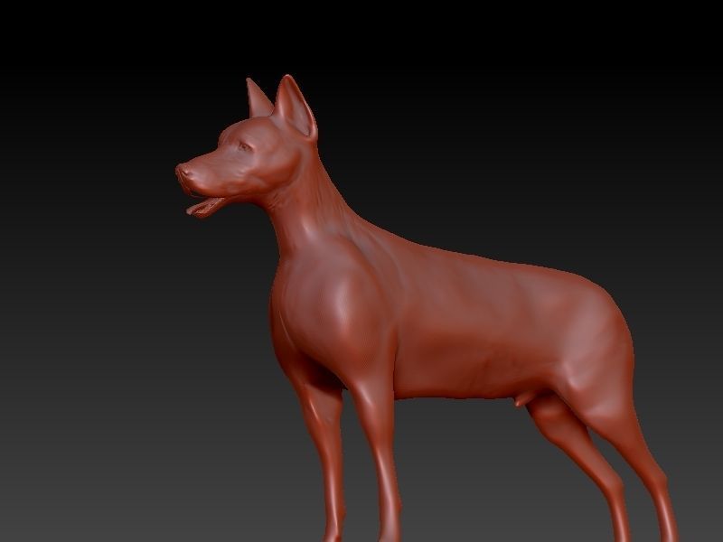 doberman dog 3D print model_6