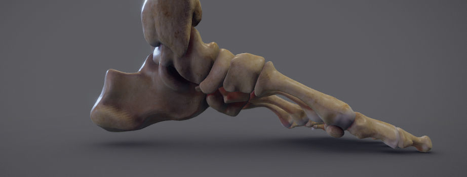 Thigh Adductors Low-poly 3D model_12