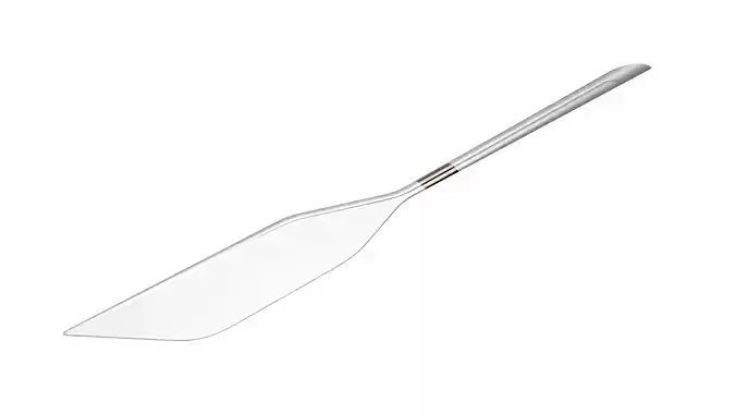 Spatula stainless steel