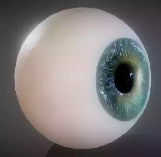 The Eye