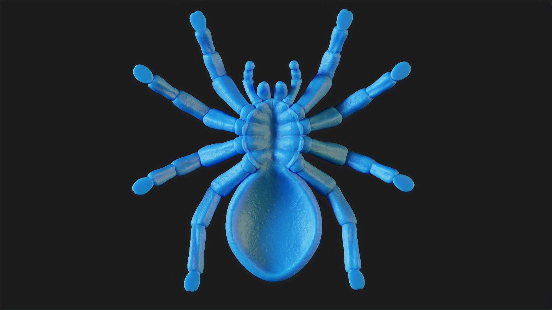 Stylized Spider 3D print model_11