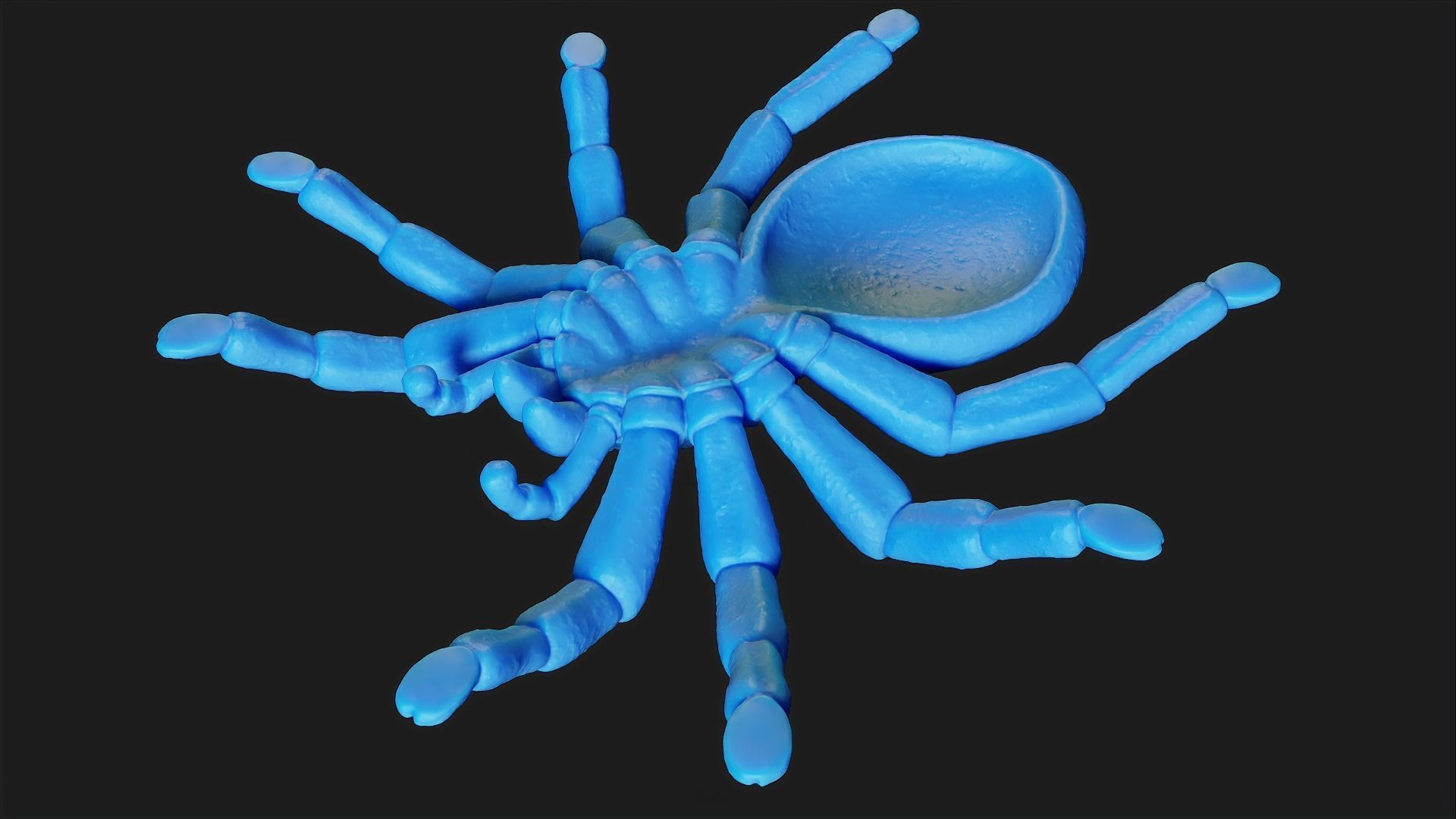 Stylized Spider 3D print model_12