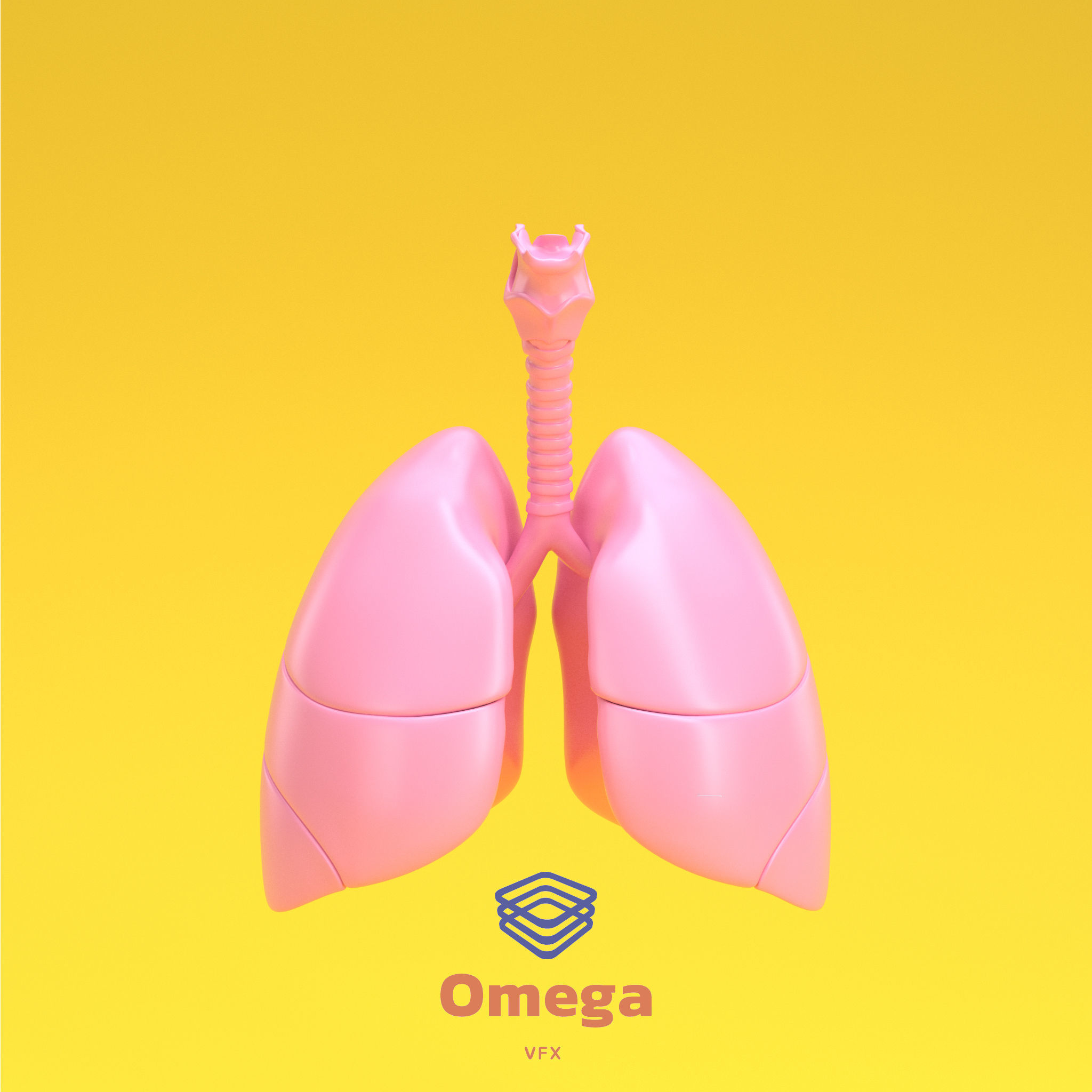 Human Lung with Bronchia 3D model