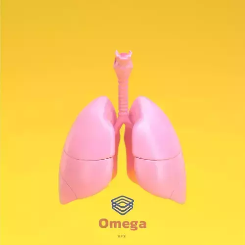 Human Lung with Bronchia  3D model  3D model