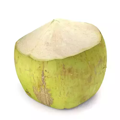 Green Coconut - Photorealistic  Scan