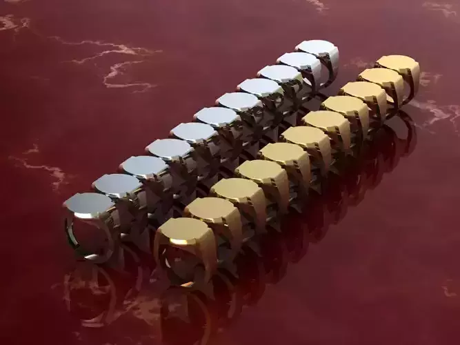 Signet man ring two model