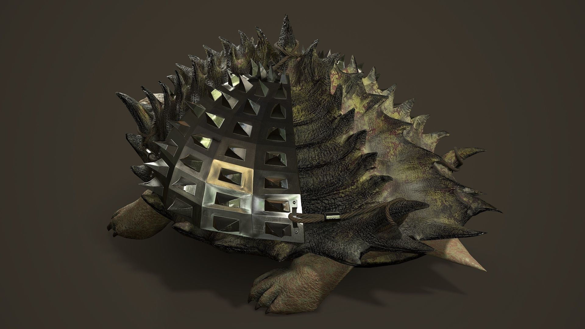 Stylized Armored tortoise - Tortashidze - Game Ready 3D model Low-poly 3D model_3