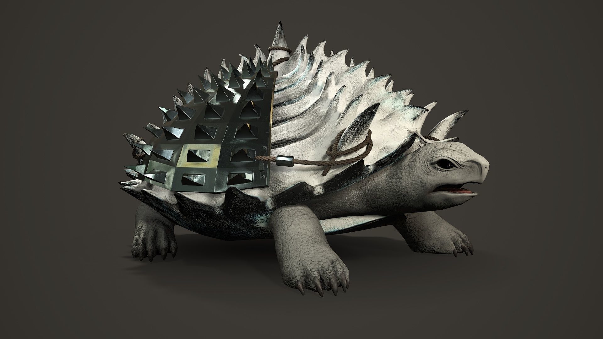 Stylized Armored tortoise - Tortashidze - Game Ready 3D model Low-poly 3D model_7