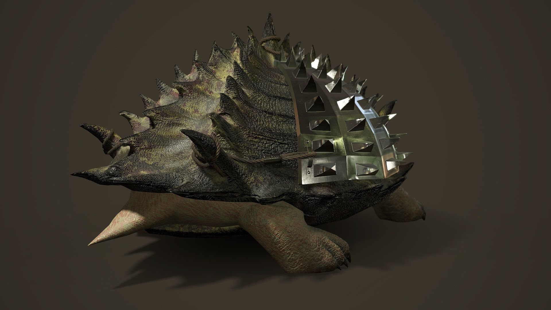 Stylized Armored tortoise - Tortashidze - Game Ready 3D model Low-poly 3D model_4