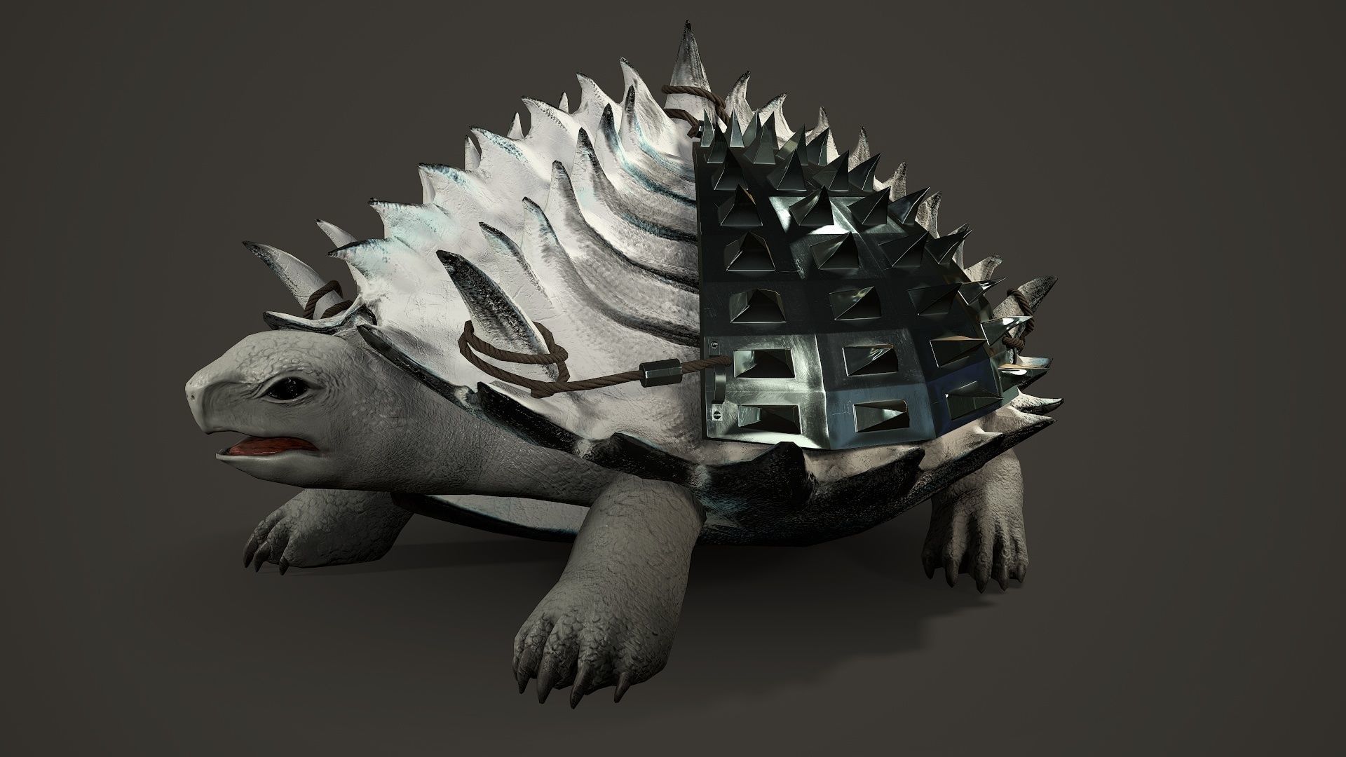 Stylized Armored tortoise - Tortashidze - Game Ready 3D model Low-poly 3D model_8