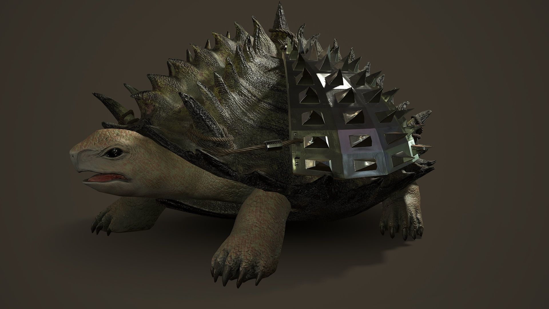 Stylized Armored tortoise - Tortashidze - Game Ready 3D model Low-poly 3D model_2