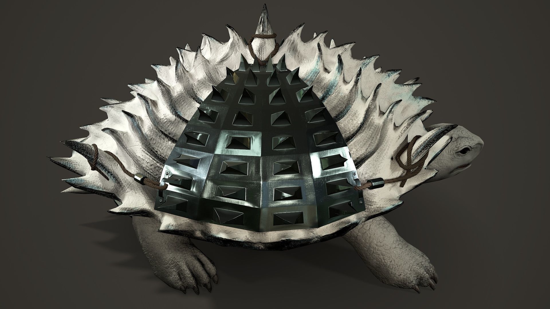 Stylized Armored tortoise - Tortashidze - Game Ready 3D model Low-poly 3D model_9