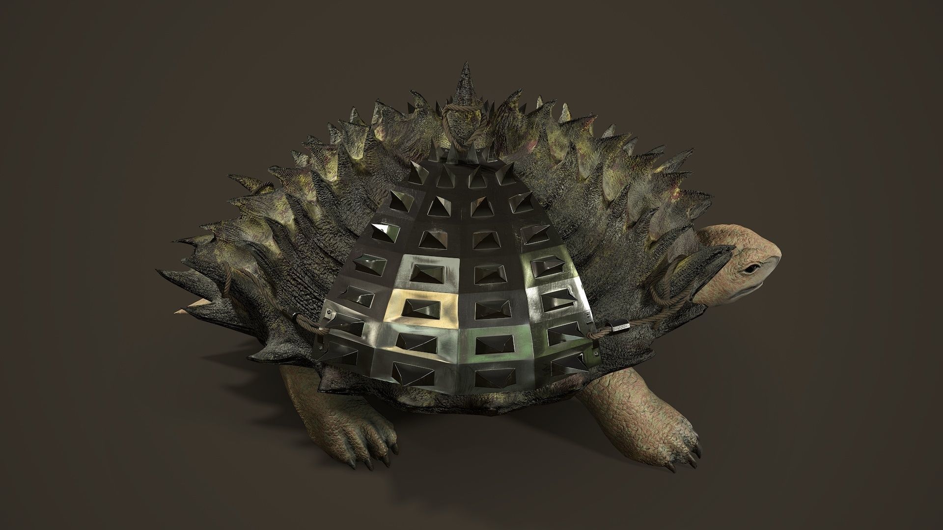 Stylized Armored tortoise - Tortashidze - Game Ready 3D model Low-poly 3D model_5