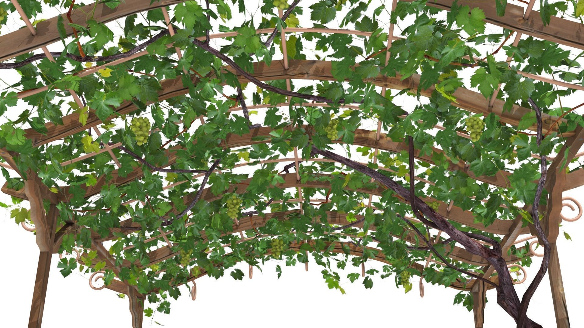 Vine pergola 3D model_5