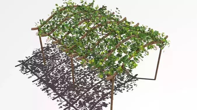 Vine pergola 3D model