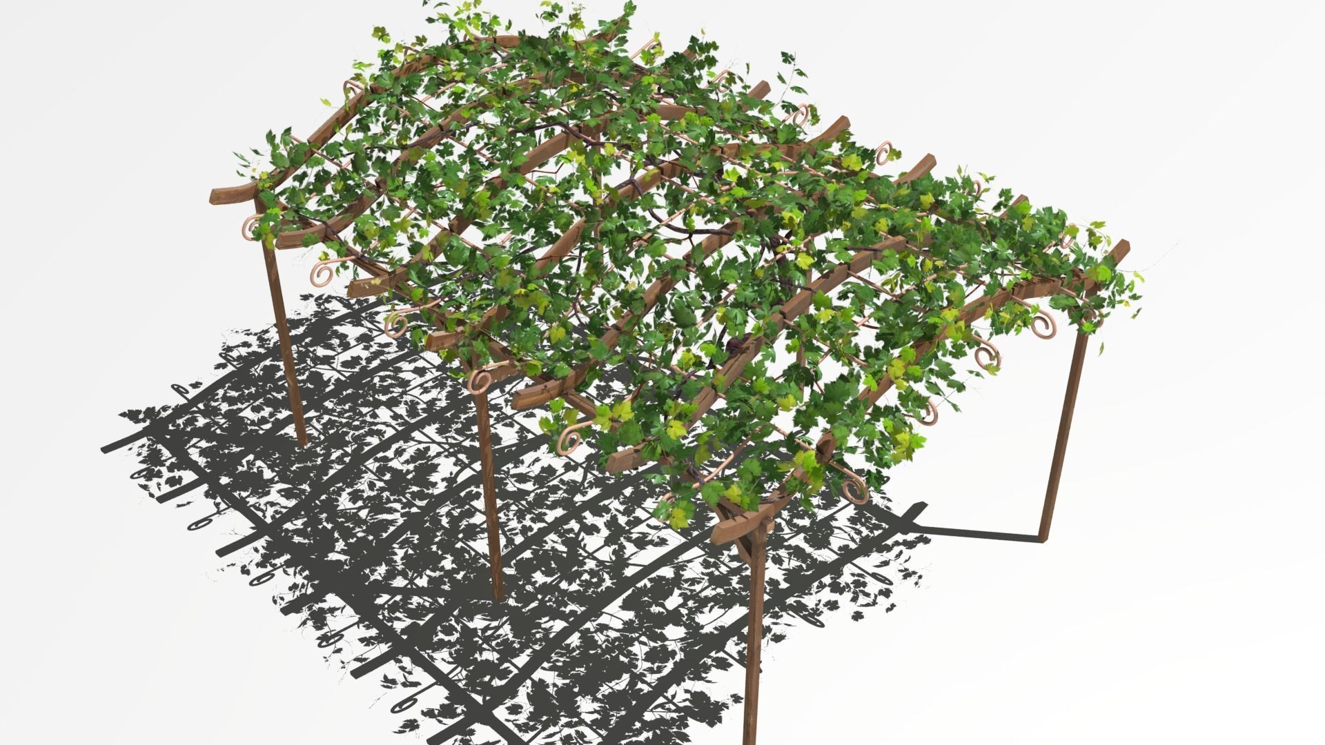 Vine pergola