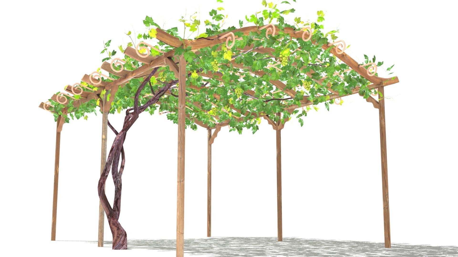 Vine pergola 3D model_13