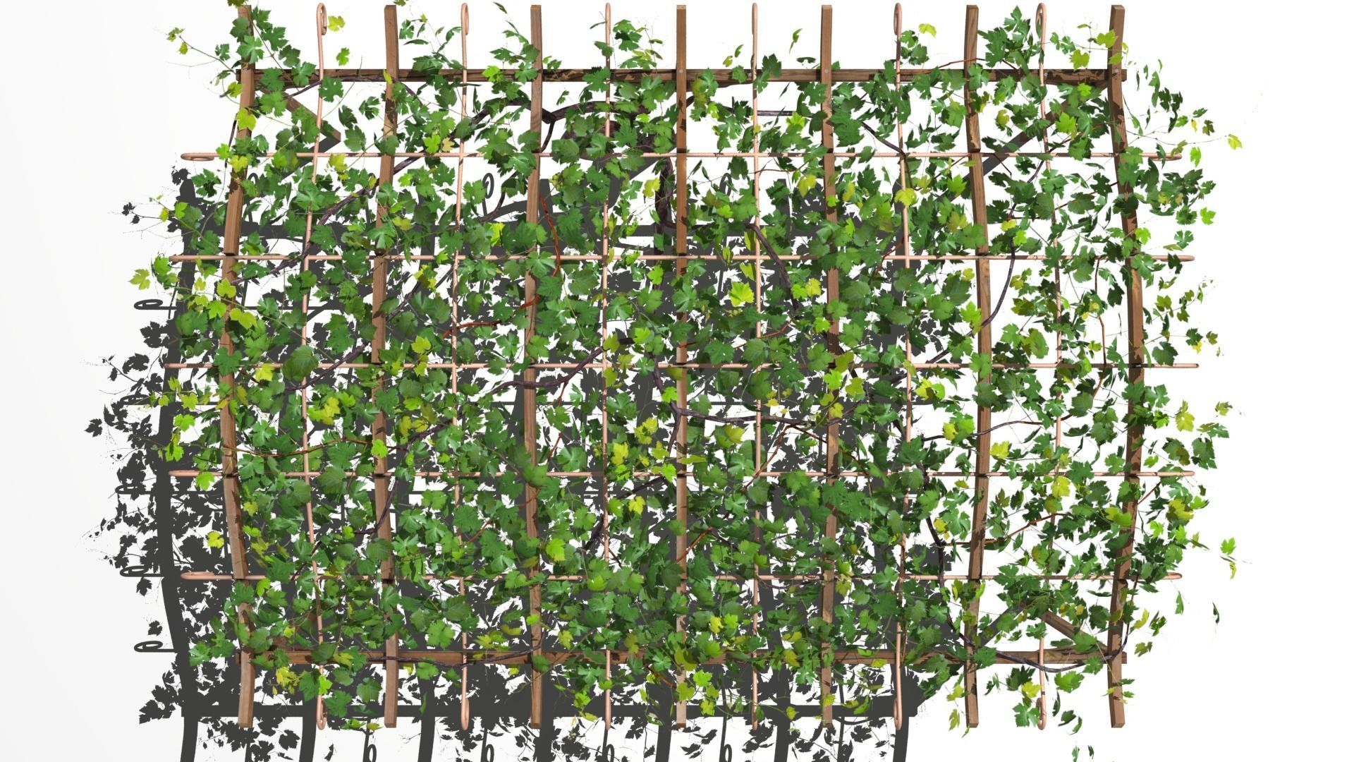 Vine pergola 3D model_8