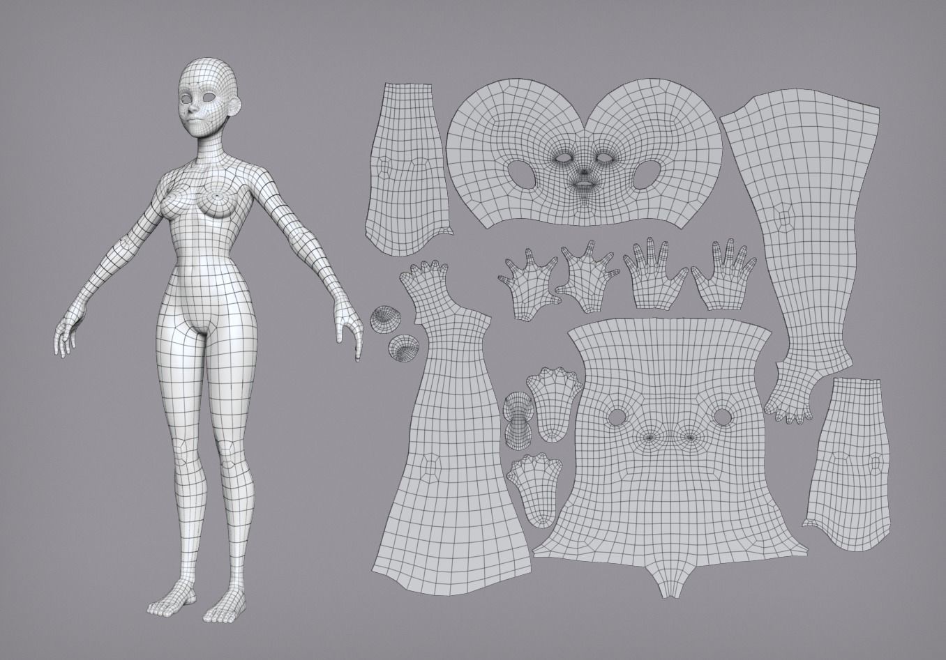 Cartoon female character Lora base mesh 3D model_9