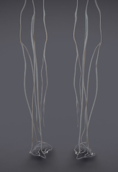 Nervous system and Dura matter Low-poly 3D model_19