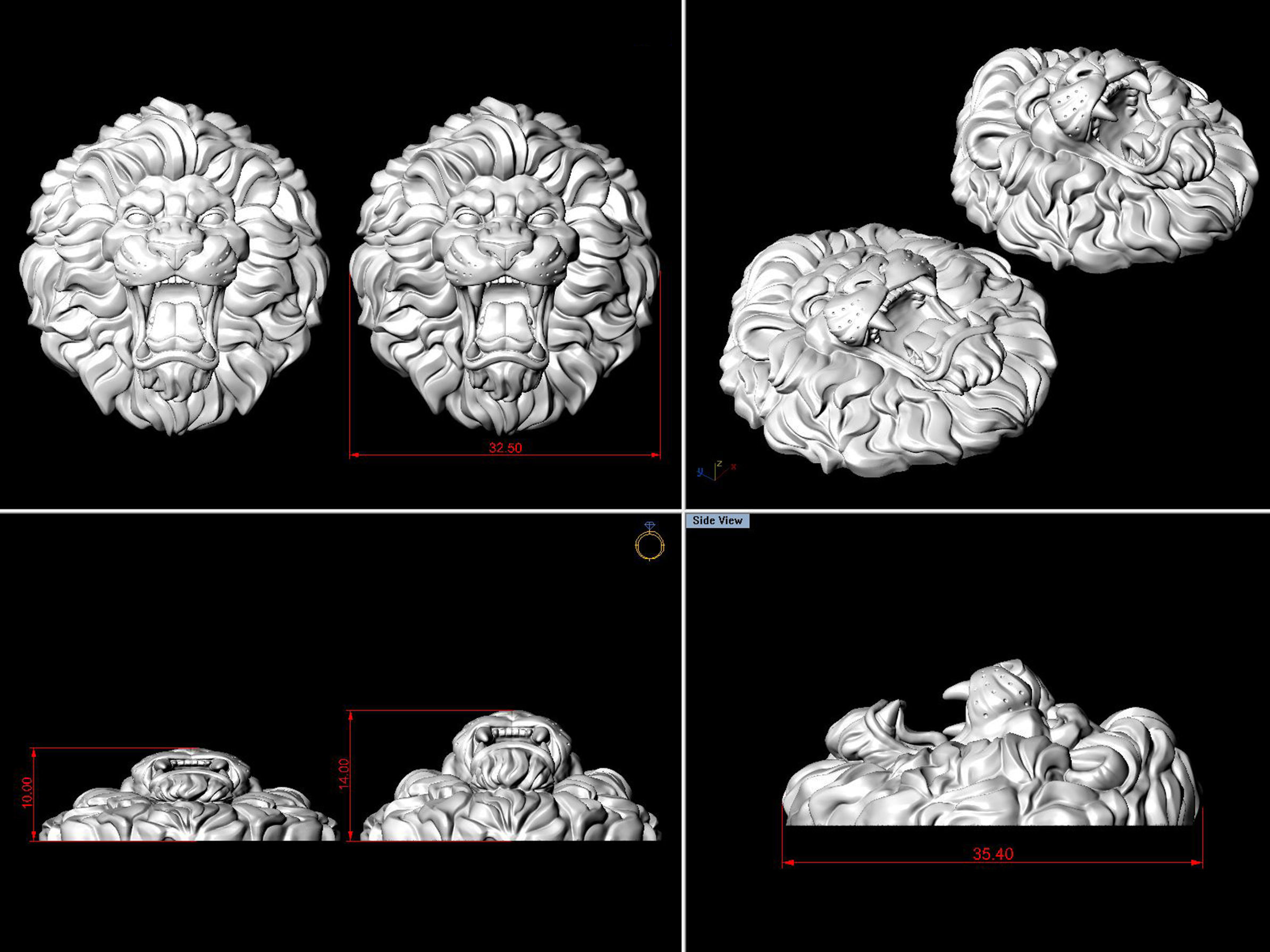 Roaring Lion Head V2 3D print model_13