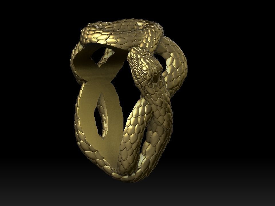  Eyelet snake for pendant 3d print ready 3D print model_13