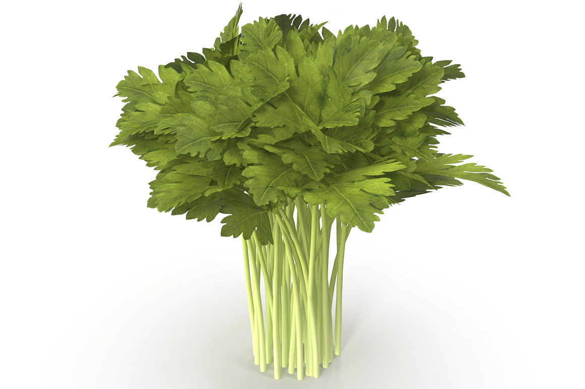 Set of bunches of herbs 3D model_11