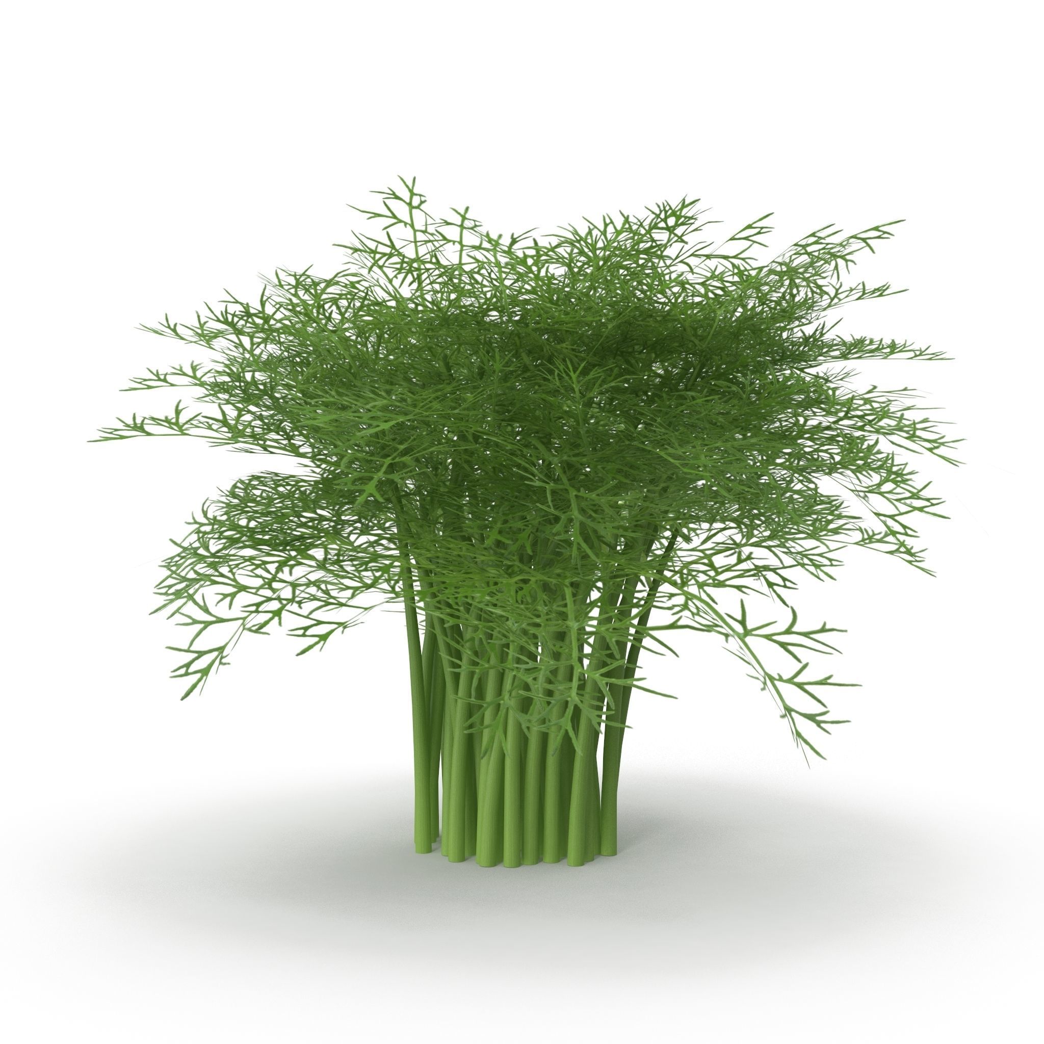 Set of bunches of herbs 3D model_5