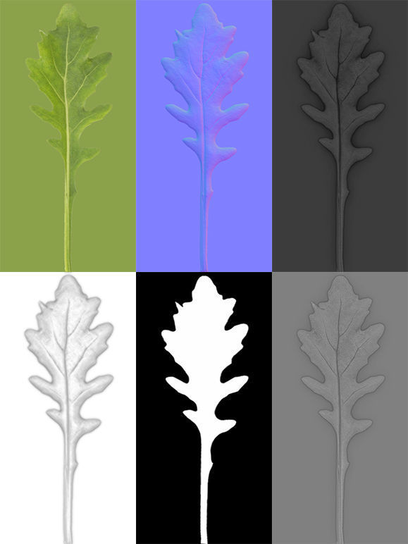 Set of bunches of herbs 3D model_25