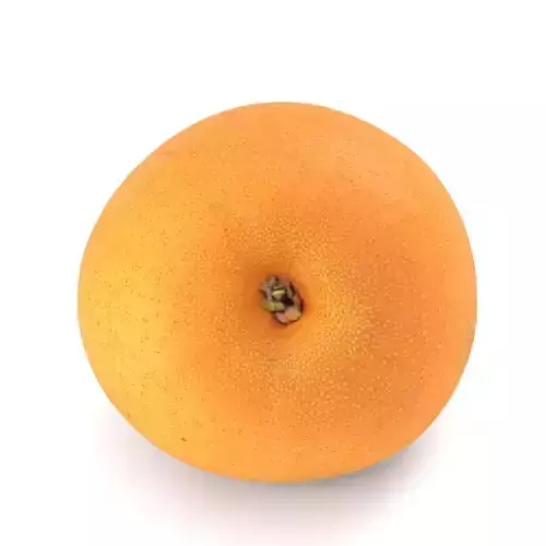 Snow Pear - Photorealistic  Scan