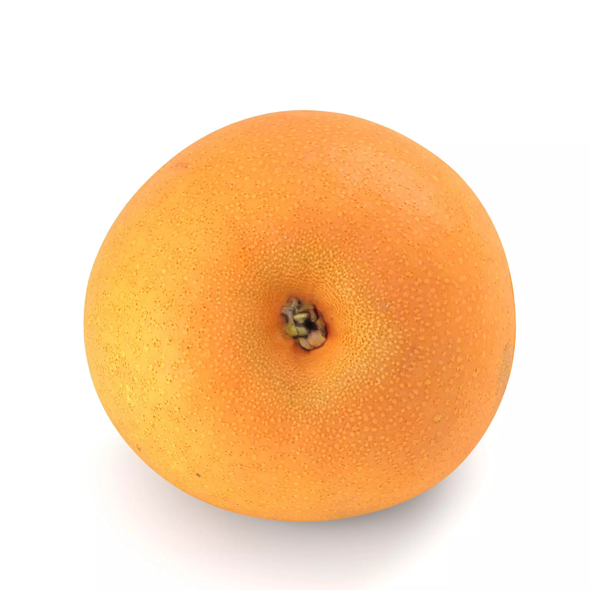 Snow Pear - Photorealistic Scan Low-poly 3D model
