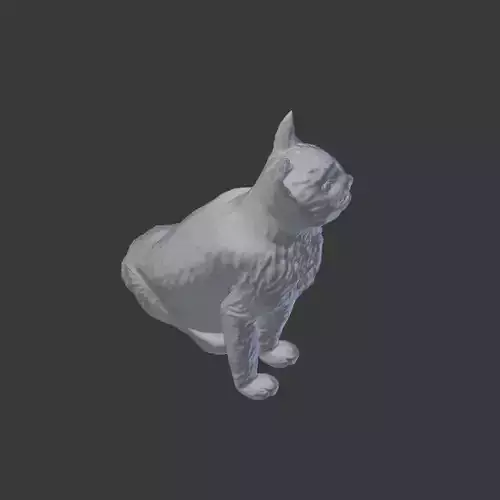 3D Cat Model Sculpt