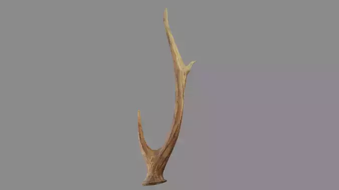 Small Antlers LOW POLY PBR 