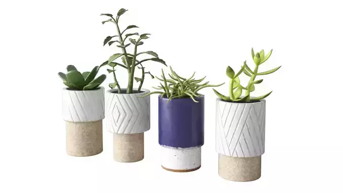 Decorative Plants - Accessories Low-poly 3D model