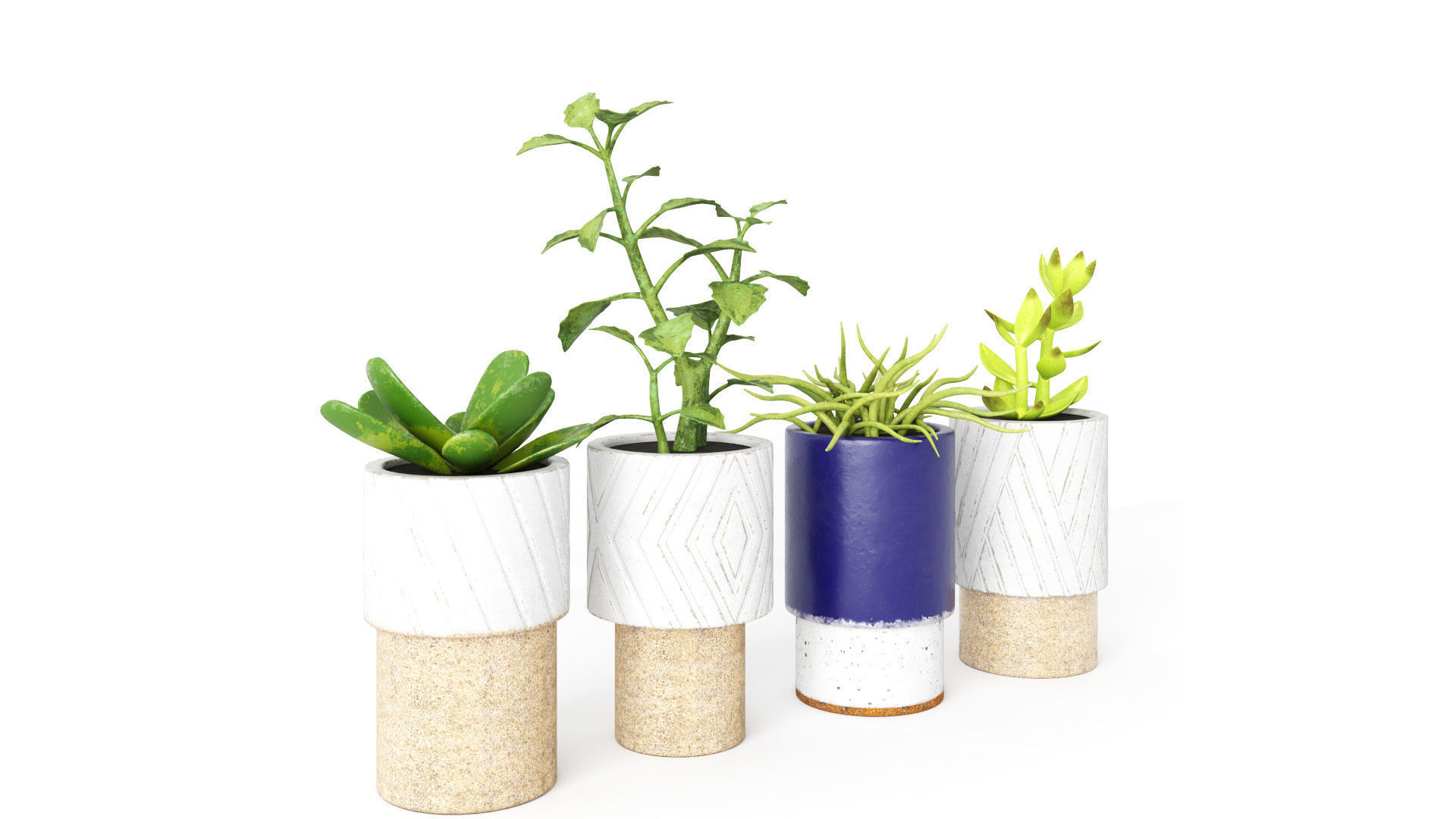 Decorative Plants - Accessories Low-poly 3D model_2