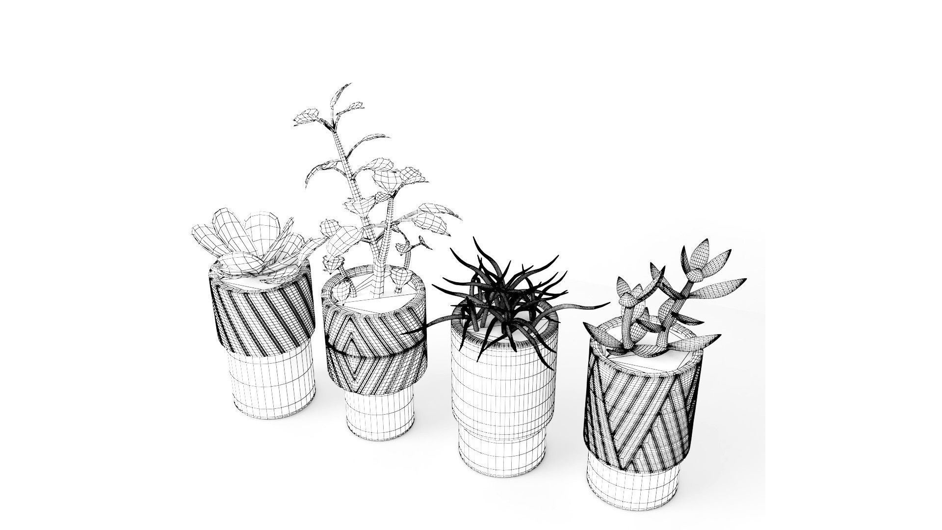Decorative Plants - Accessories Low-poly 3D model_4
