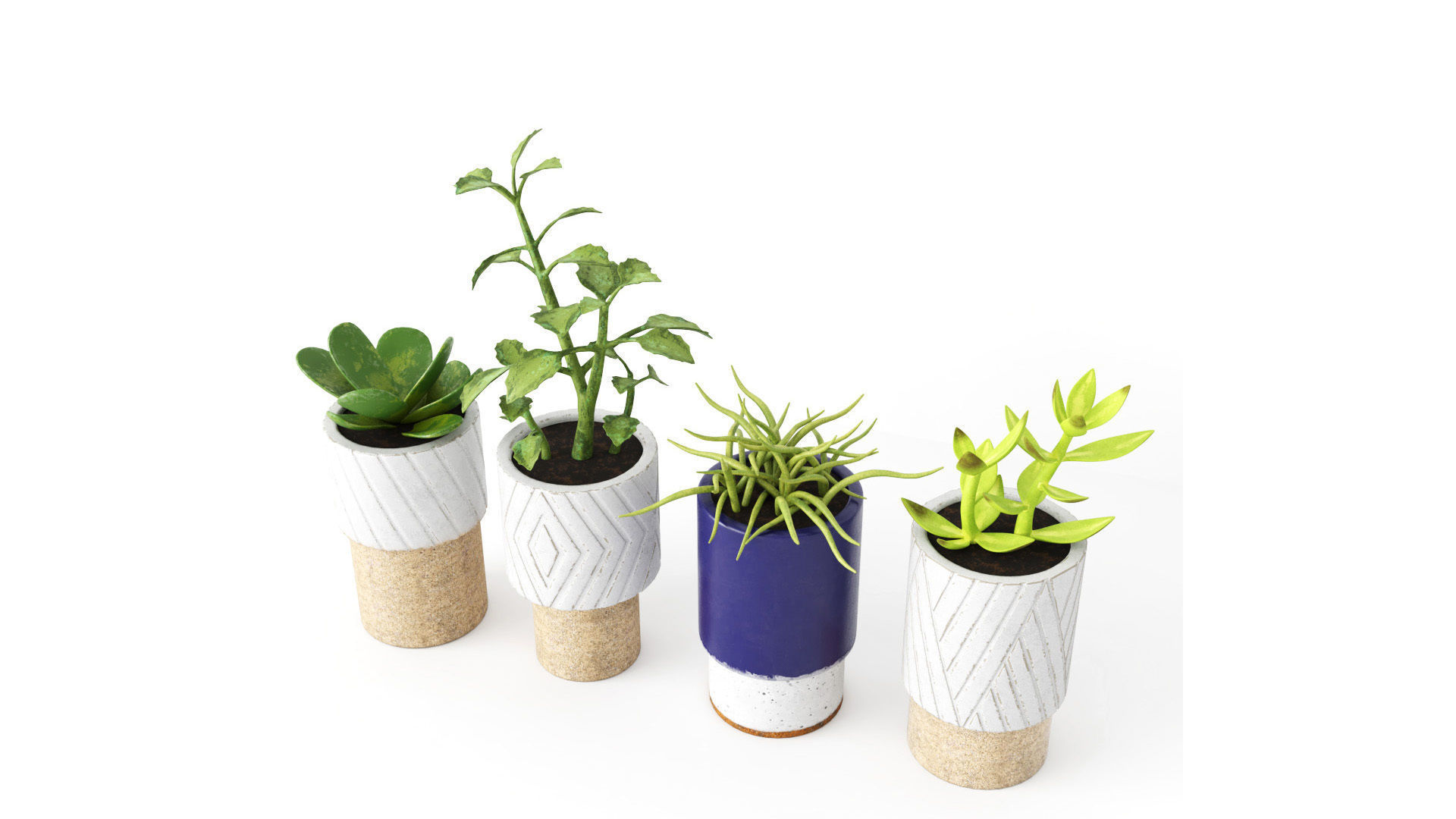 Decorative Plants - Accessories Low-poly 3D model_3