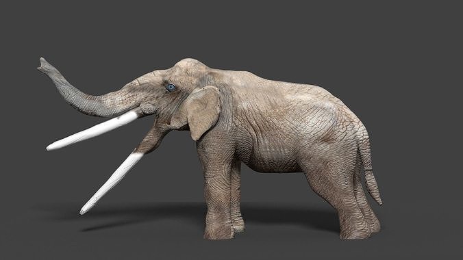 stegotetrabelodon elephant with two tusks 3D model