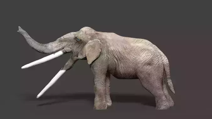 stegotetrabelodon elephant with two tusks 3D model