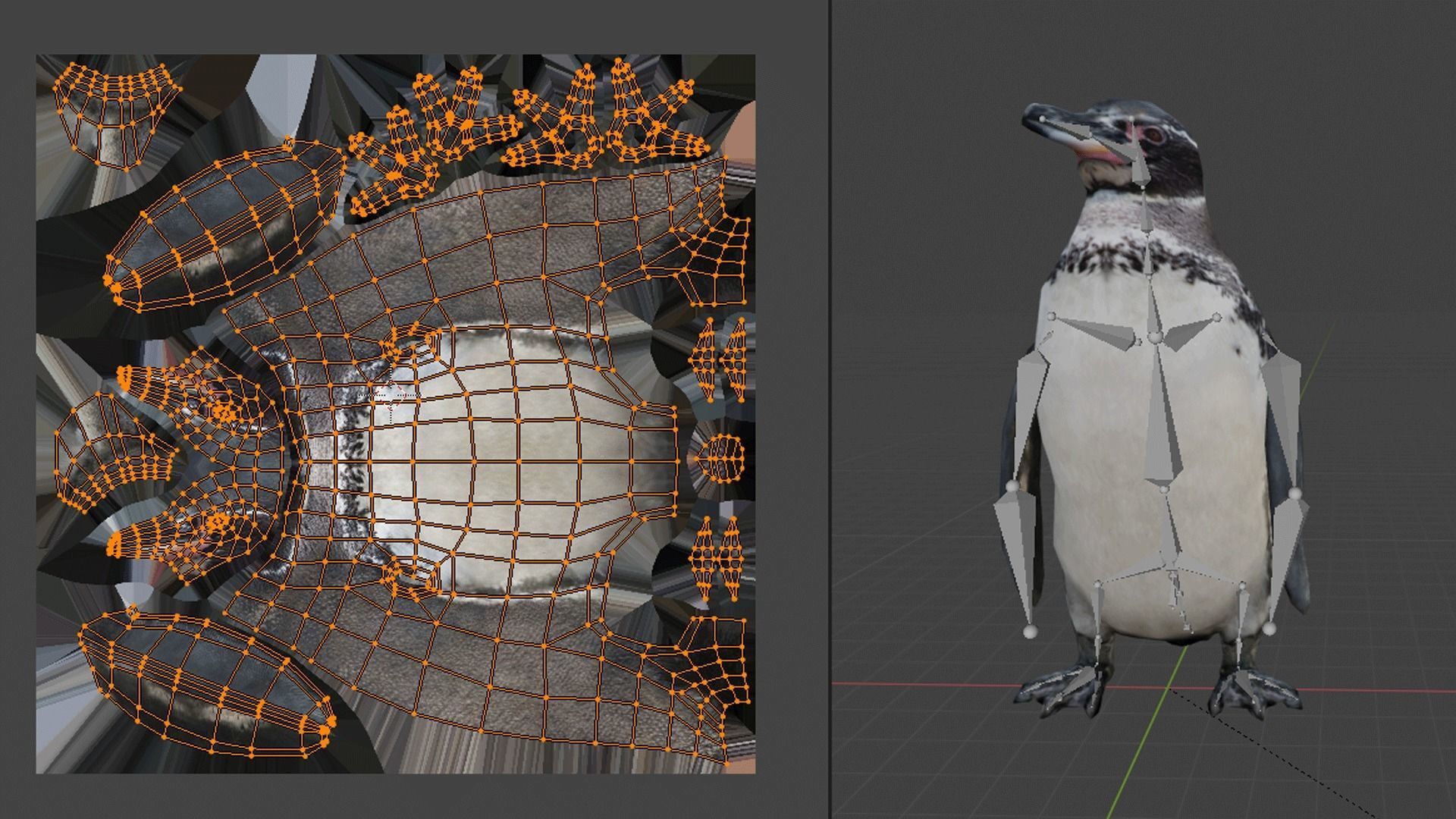 Galapagos Penguin - Animated Low-poly 3D model_3