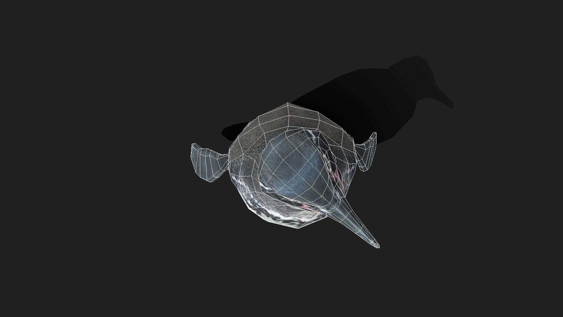 Galapagos Penguin - Animated Low-poly 3D model_14