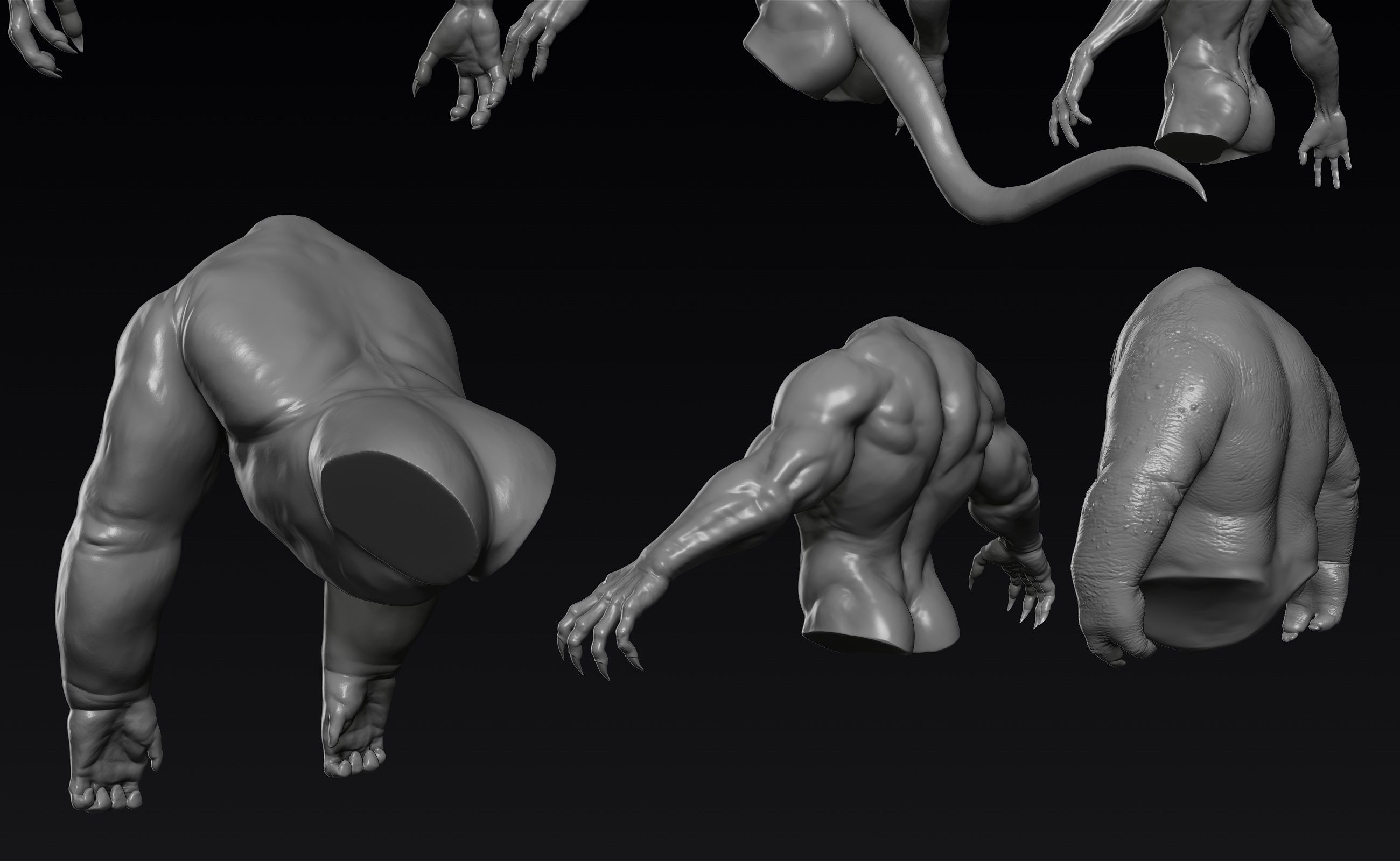 Creature Upper Body Part 1 3D model_5