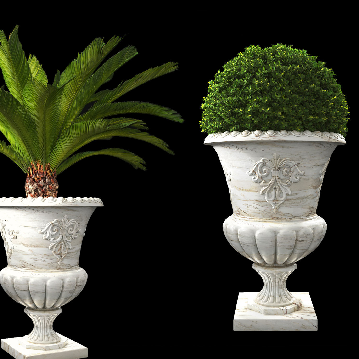 Plant Collection 05 3D model_3