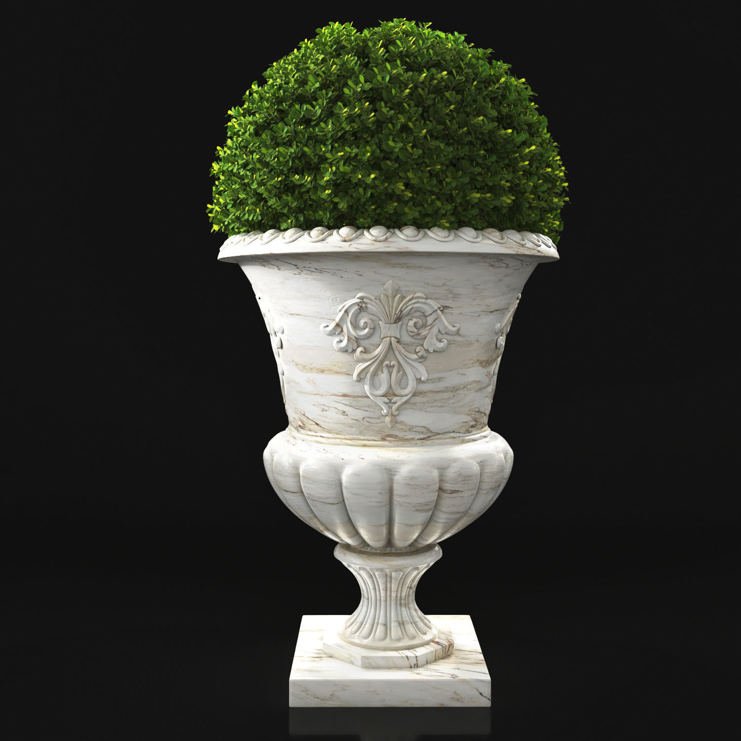 Plant Collection 05 3D model_2